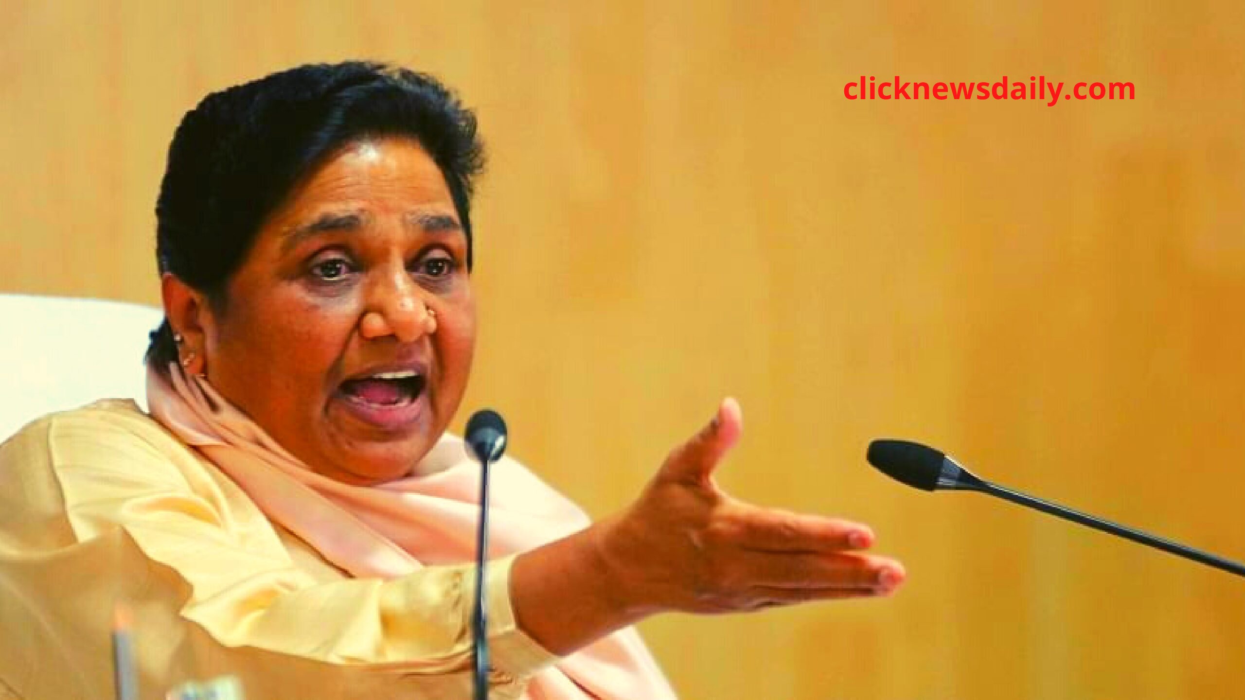 EC should ban pre-poll surveys by media outlets 6 months before elections: Mayawati