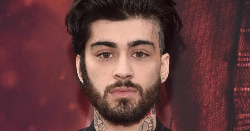 Zayn Malik Net Worth 2022