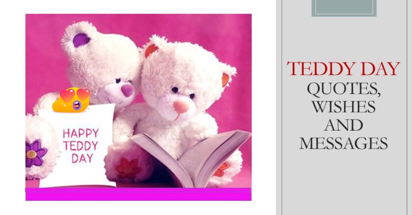 Teddy Day Quotes, Wishes and Messages