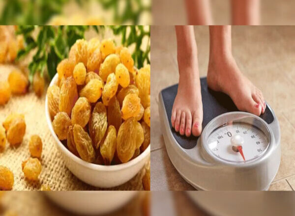 Easy Way To Gain Weight Know How Raisins Can Help In Weight Gain