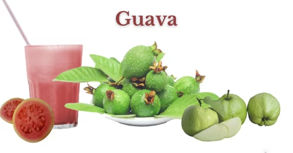 wellhealthorganic.com:5 amazing health benefits of guava