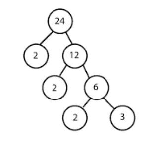 Factor Tree